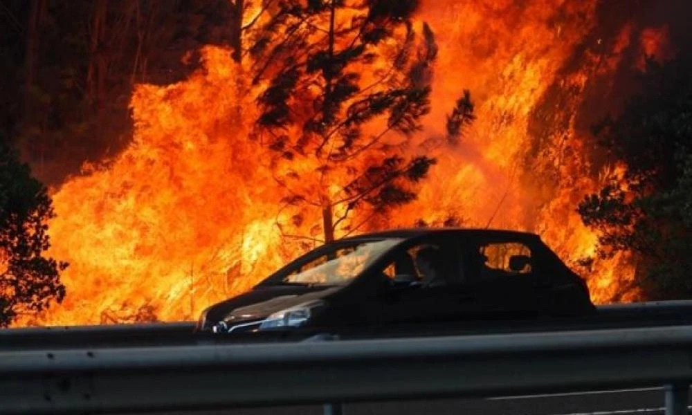 Υπό έλεγχο όλες οι εστίες φωτιάς στην Πορτογαλία -7 οι νεκροί και τουλάχιστον ένα εκατoμμύριο καμένα στρέμματα